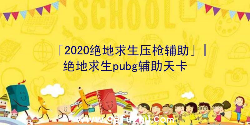 「2020绝地求生压枪辅助」|绝地求生pubg辅助天卡